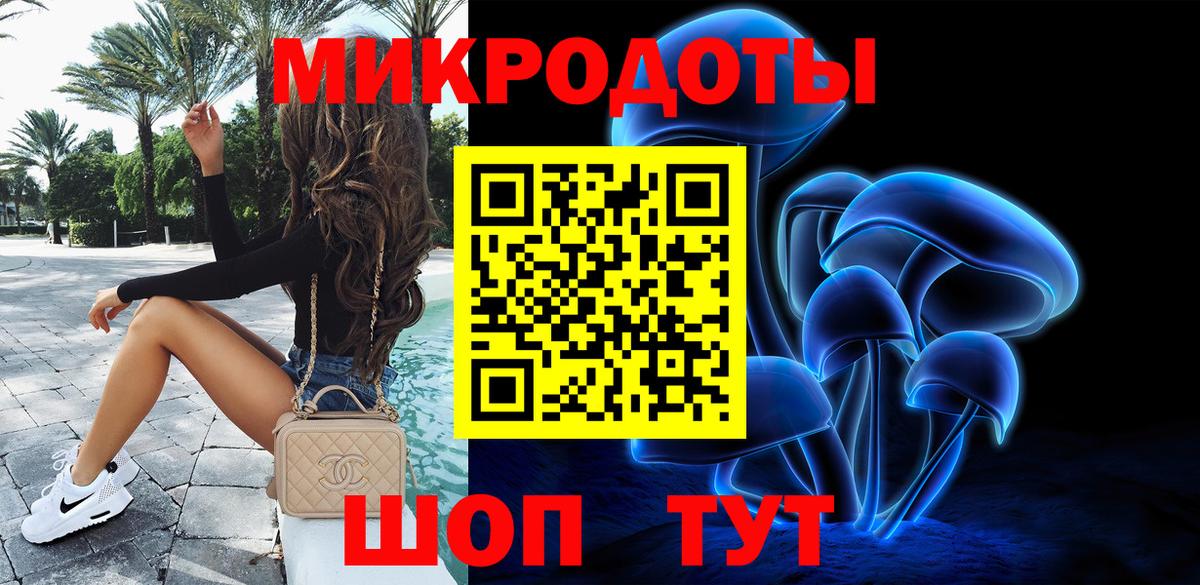 Галлюциногенные грибы Psilocybe Кисловодск