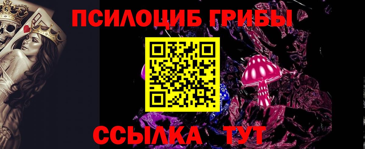 Галлюциногенные грибы Psilocybe  дарнет шоп  Кисловодск  Вход с VPN 