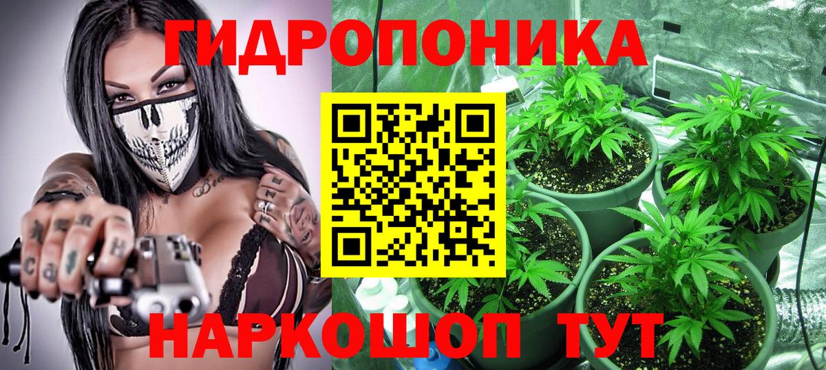 Бошки марихуана план  Каннабис SATIVA & INDICA  Вход с VPN  Кисловодск 